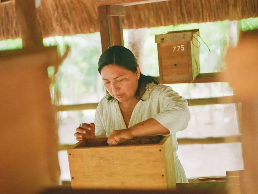 Criadero de abejas meliponas, en Maroma, A Belmond Hotel, Riviera Maya, el hotel más sustentable del mundo. 