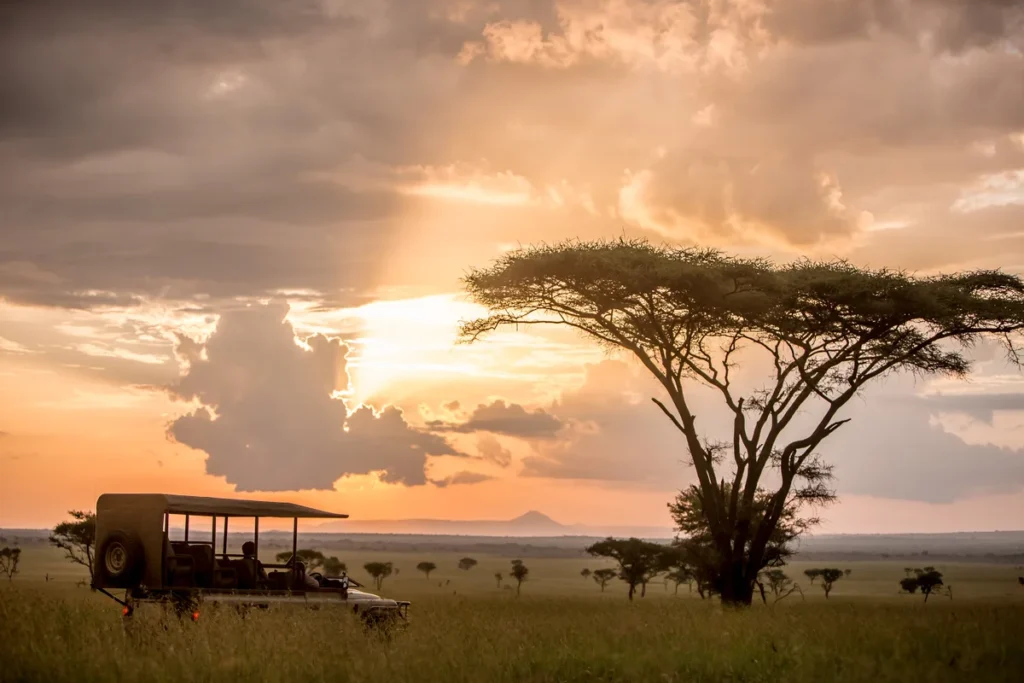 De safari por el Serengeti en Tanzania. / Cortesía Singita.